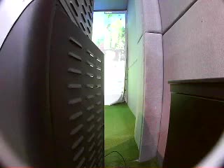 动