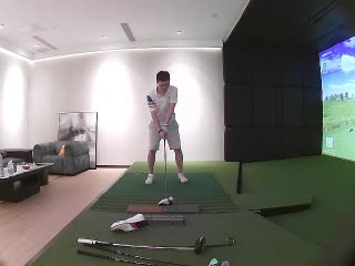 小野鸡