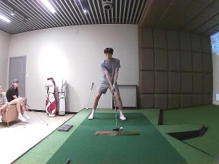 斑马