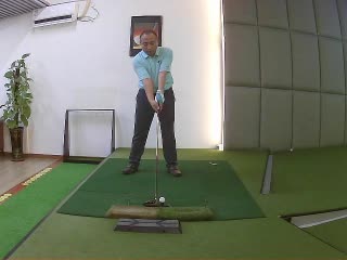 常春藤