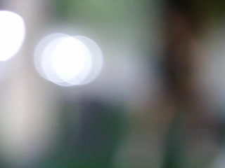 四有Olga
