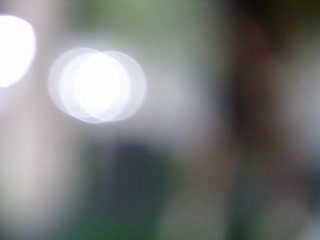 四有Olga