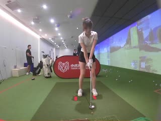 豬豬