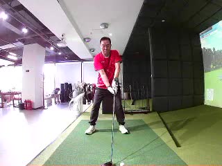 羽他