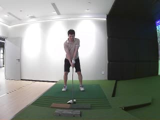 小野鸡