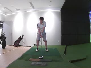 小野鸡