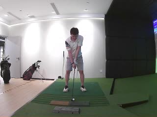 小野鸡