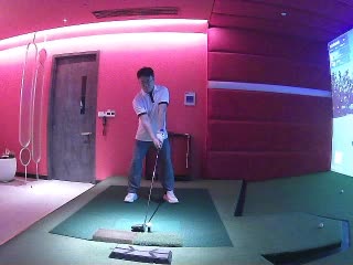 罗伊