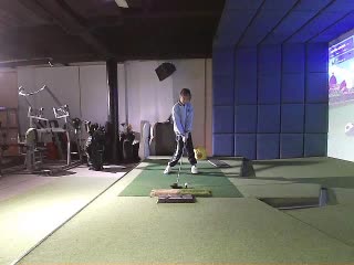 fly