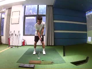 Tigerkim