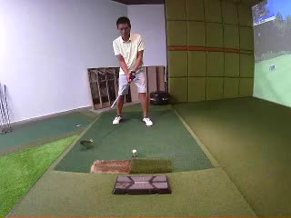 众木成林